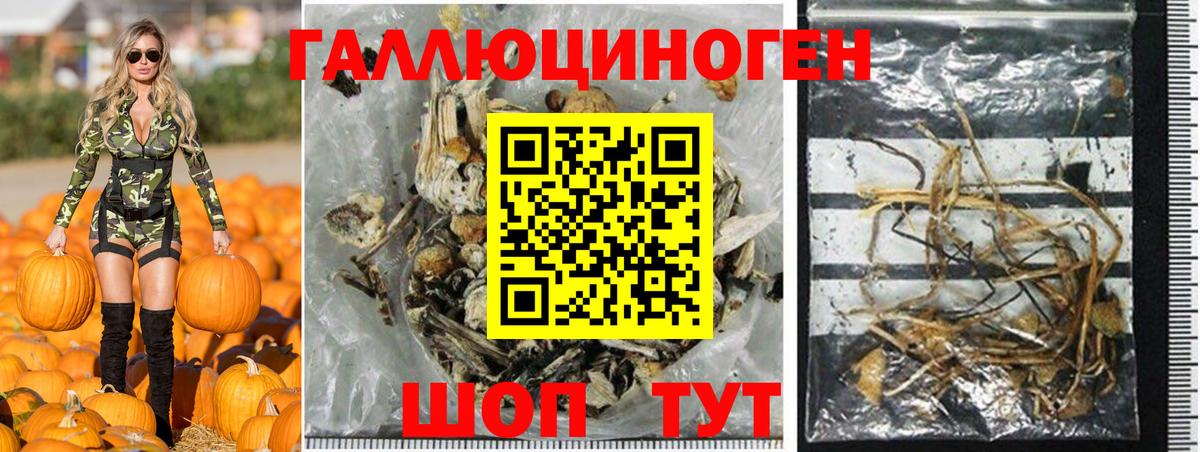 Галлюциногенные грибы Psilocybine cubensis  Псилоцибиновые грибы Cubensis  Вход с VPN  Еманжелинск 